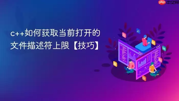 c++如何获取当前打开的文件描述符上限【技巧】