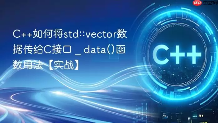 C++如何将std::vector数据传给C接口 _ data()函数用法【实战】