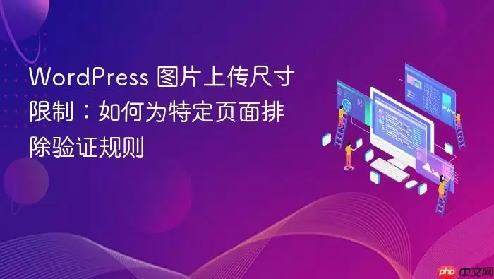 WordPress 图片上传尺寸限制：如何为特定页面排除验证规则