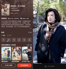 河马剧场和红果哪个更具优势