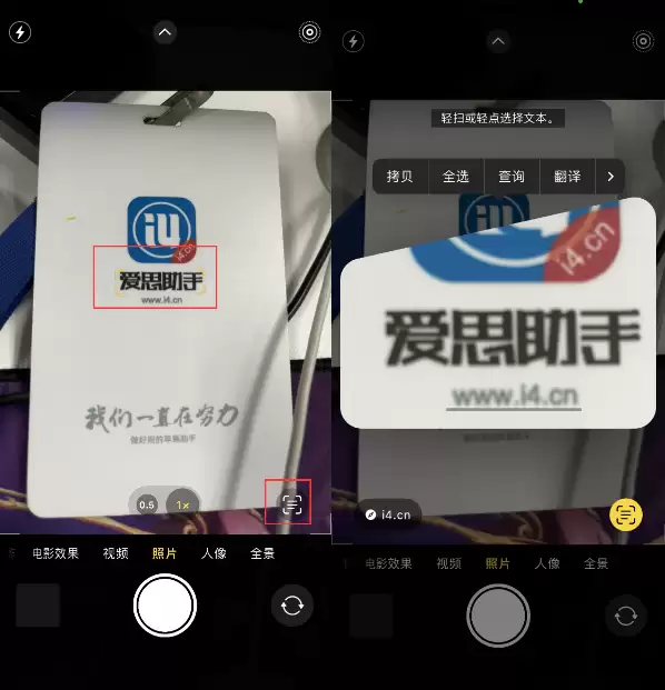 升级iOS 16后如何通过相机翻译文本? 升级iOS 16后如何通过相机翻译文本?