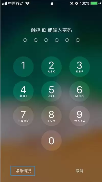 如何在 iPhone14 的“健康”App 中设置医疗急救卡? 如何在 iPhone14 的“健康”App 中设置医疗急救卡?