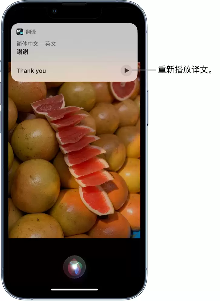 在 iPhone 14 机型中使用 Siri:了解 Siri 能帮你做什么 在 iPhone 14 机型中使用 Siri:了解 Siri 能帮你做什么