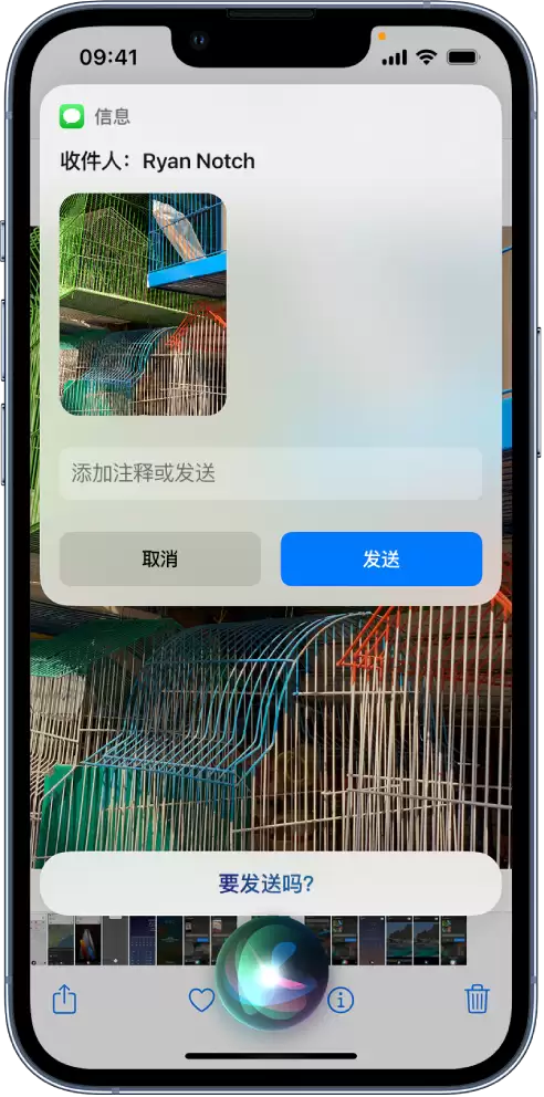 在 iPhone 14 机型中使用 Siri:了解 Siri 能帮你做什么 在 iPhone 14 机型中使用 Siri:了解 Siri 能帮你做什么