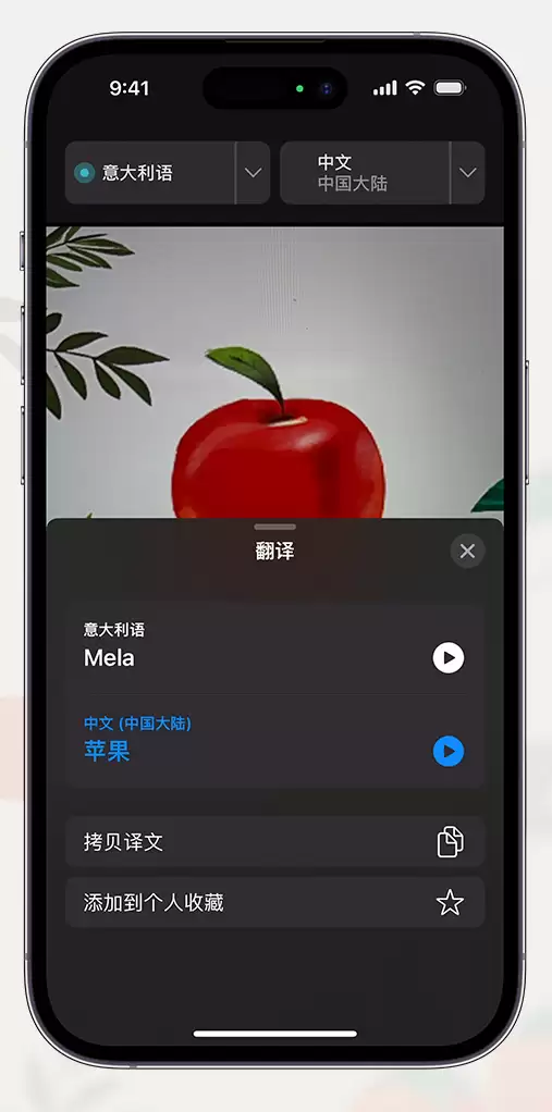 iPhone 小技巧:支持通过摄像头取景翻译文本 iPhone 小技巧:支持通过摄像头取景翻译文本