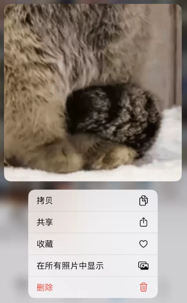 小技巧:在 iPhone 14 执行这些操作,可快速打开常用功能 小技巧:在 iPhone 14 执行这些操作,可快速打开常用功能