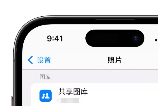 如何在 iPhone 上通过共享图库分享照片? 如何在 iPhone 上通过共享图库分享照片?