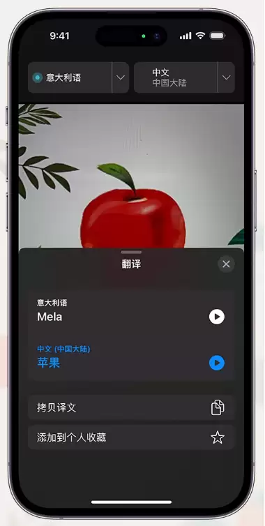 iPhone14通过摄像头取景实时翻译文本方法教程 iPhone14通过摄像头取景实时翻译文本方法教程