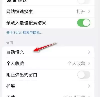 如何在苹果Safari中禁用自动完成? 如何在苹果Safari中禁用自动完成?