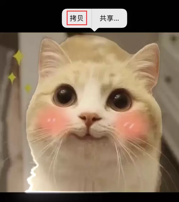 iOS 16 小技巧:使用抠图功能和 iMessage 特效分享趣味图片 iOS 16 小技巧:使用抠图功能和 iMessage 特效分享趣味图片