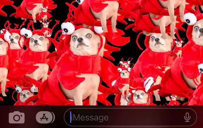 iOS 16 小技巧:使用抠图功能和 iMessage 特效分享趣味图片 iOS 16 小技巧:使用抠图功能和 iMessage 特效分享趣味图片