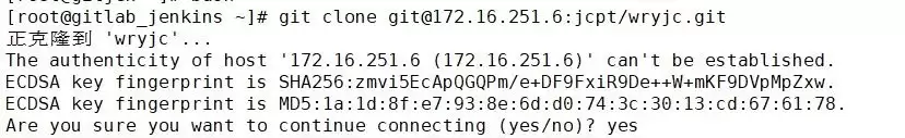 配置Jenkins自动拉取gitlab中的代码并部署方式