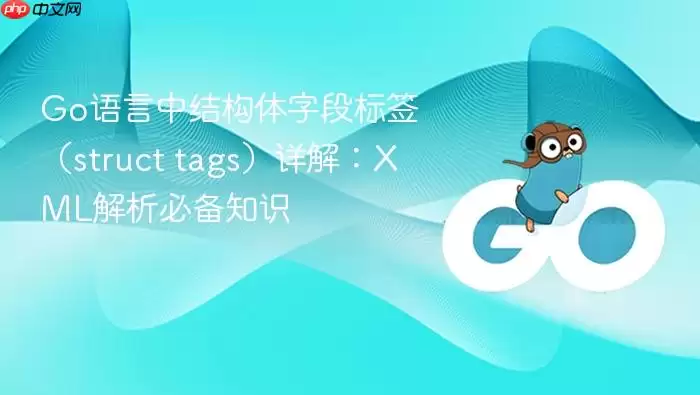 Go语言中结构体字段标签（struct tags）详解：XML解析必备知识