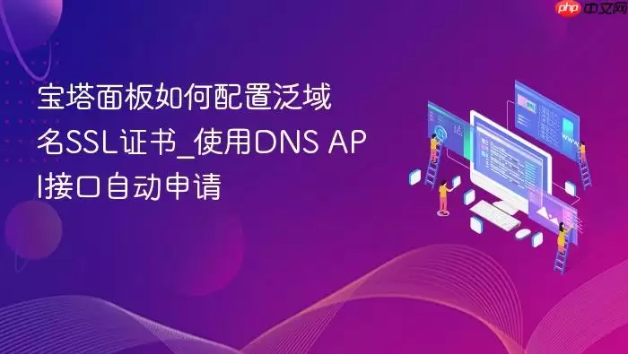 宝塔面板如何配置泛域名SSL证书_使用DNS API接口自动申请