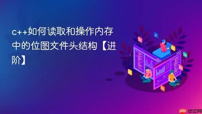 c++如何读取和操作内存中的位图文件头结构【进阶】