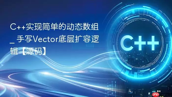 C++实现简单的动态数组 _ 手写Vector底层扩容逻辑【源码】