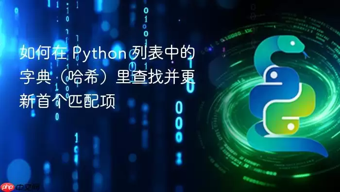 如何在 Python 列表中的字典（哈希）里查找并更新首个匹配项