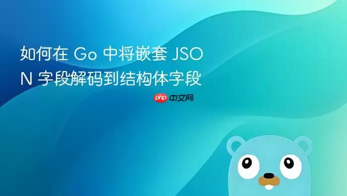 如何在 Go 中将嵌套 JSON 字段解码到结构体字段