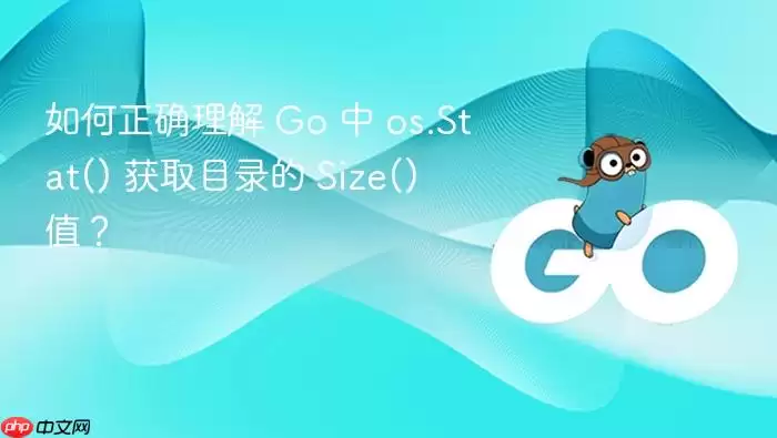 如何正确理解 Go 中 os.Stat() 获取目录的 Size() 值？