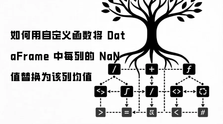 如何用自定义函数将 DataFrame 中每列的 NaN 值替换为该列均值