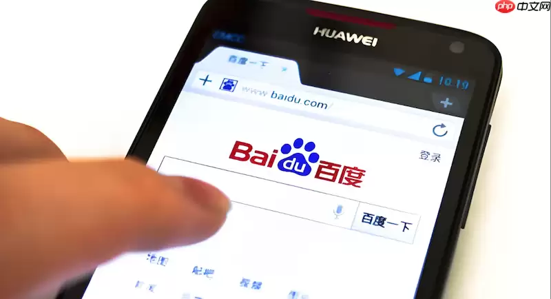 百度浏览器无法自动填充表单信息该如何开启相关权限？