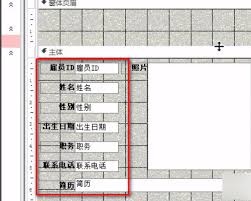 如何设置access窗体页眉标签