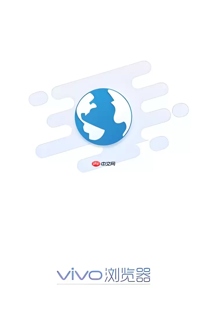 为什么vivo浏览器无法加载部分国家的地图网页插件？
