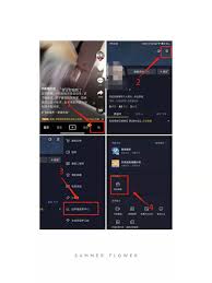 抖音橱窗私信在哪看