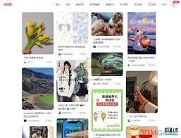 小红书网页怎么登录