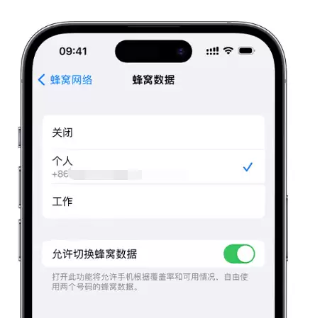 如何在 iPhone 上使用双卡?iPhone 双卡功能常见问题解答 如何在 iPhone 上使用双卡?iPhone 双卡功能常见问题解答