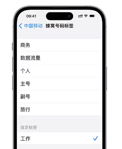 如何在 iPhone 上使用双卡?iPhone 双卡功能常见问题解答 如何在 iPhone 上使用双卡?iPhone 双卡功能常见问题解答