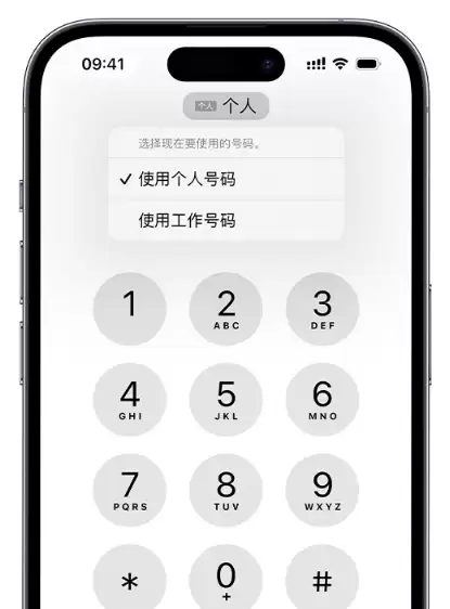 如何在 iPhone 上使用双卡?iPhone 双卡功能常见问题解答 如何在 iPhone 上使用双卡?iPhone 双卡功能常见问题解答