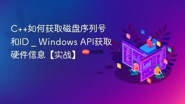 C++如何获取磁盘序列号和ID _ Windows API获取硬件信息【实战】