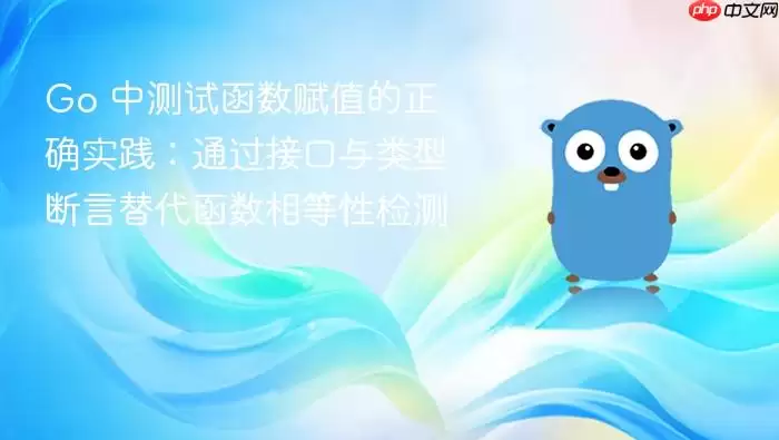 Go 中测试函数赋值的正确实践：通过接口与类型断言替代函数相等性检测