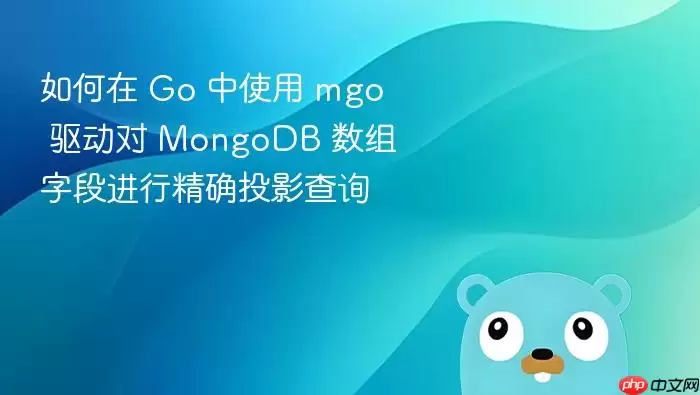 如何在 Go 中使用 mgo 驱动对 MongoDB 数组字段进行精确投影查询