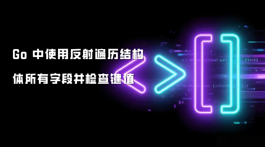 Go 中使用反射遍历结构体所有字段并检查键值
