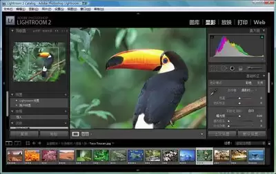 Adobe-Bridge如何把图片堆栈-多张连拍素材在Adobe-Bridge中的整理方法