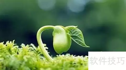 成长的滋味：开头与结尾