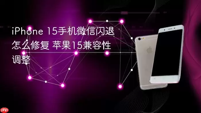 iPhone 15手机微信闪退怎么修复 苹果15兼容性调整