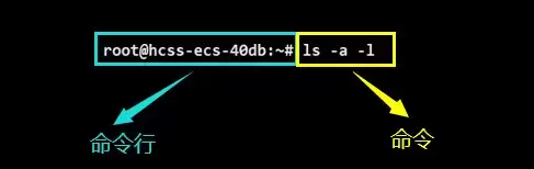 Linux命令行怎么用？shell外壳程序原理一看就懂