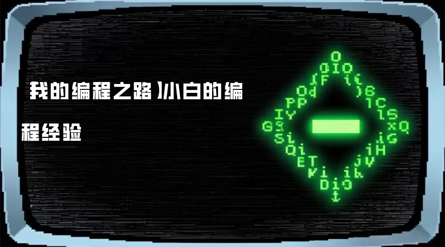 【我的编程之路】小白的编程经验