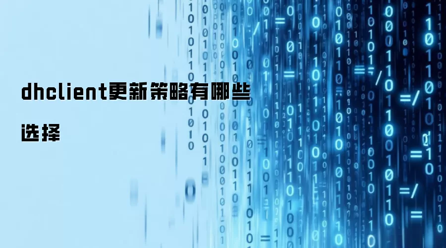 dhclient更新策略有哪些选择