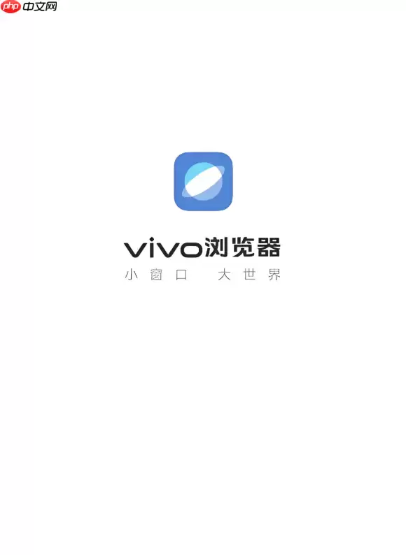 vivo浏览器网页视频无法播放怎么解决