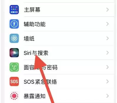 苹果iPhone 15如何删除和Siri的对话记录? 苹果iPhone 15如何删除和Siri的对话记录?