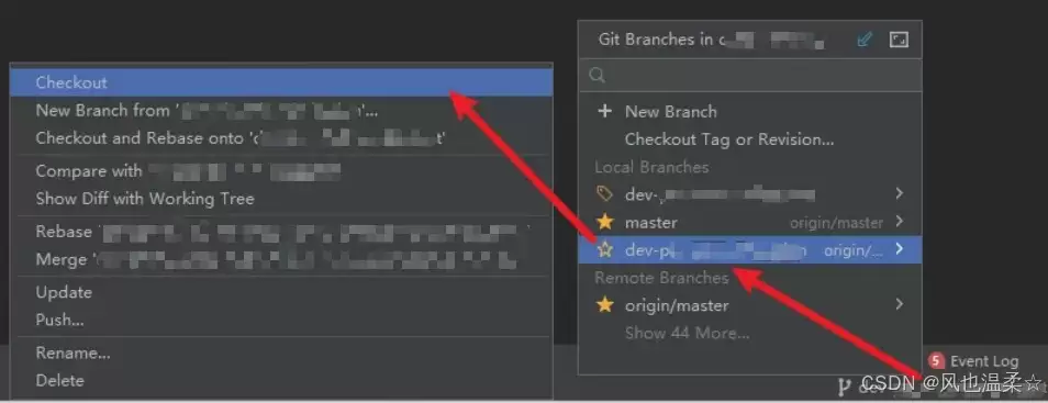 IDEA/WebStorm切换分支方法(超简单)