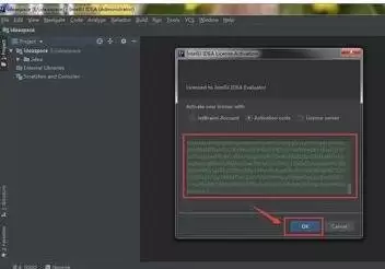 2020年IntelliJ IDEA注册码是什么
