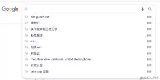Google搜索怎么查看搜索历史