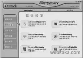 easyrecovery怎么恢复文件