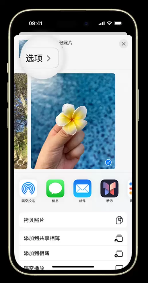 如何在 iPhone 上将照片转为 JPG 格式共享给他人? 如何在 iPhone 上将照片转为 JPG 格式共享给他人?