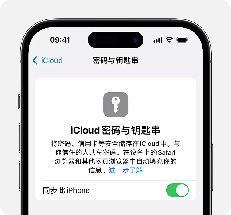 如何在 iPhone 15 系列机型中使用 iCloud 钥匙串? 如何在 iPhone 15 系列机型中使用 iCloud 钥匙串?